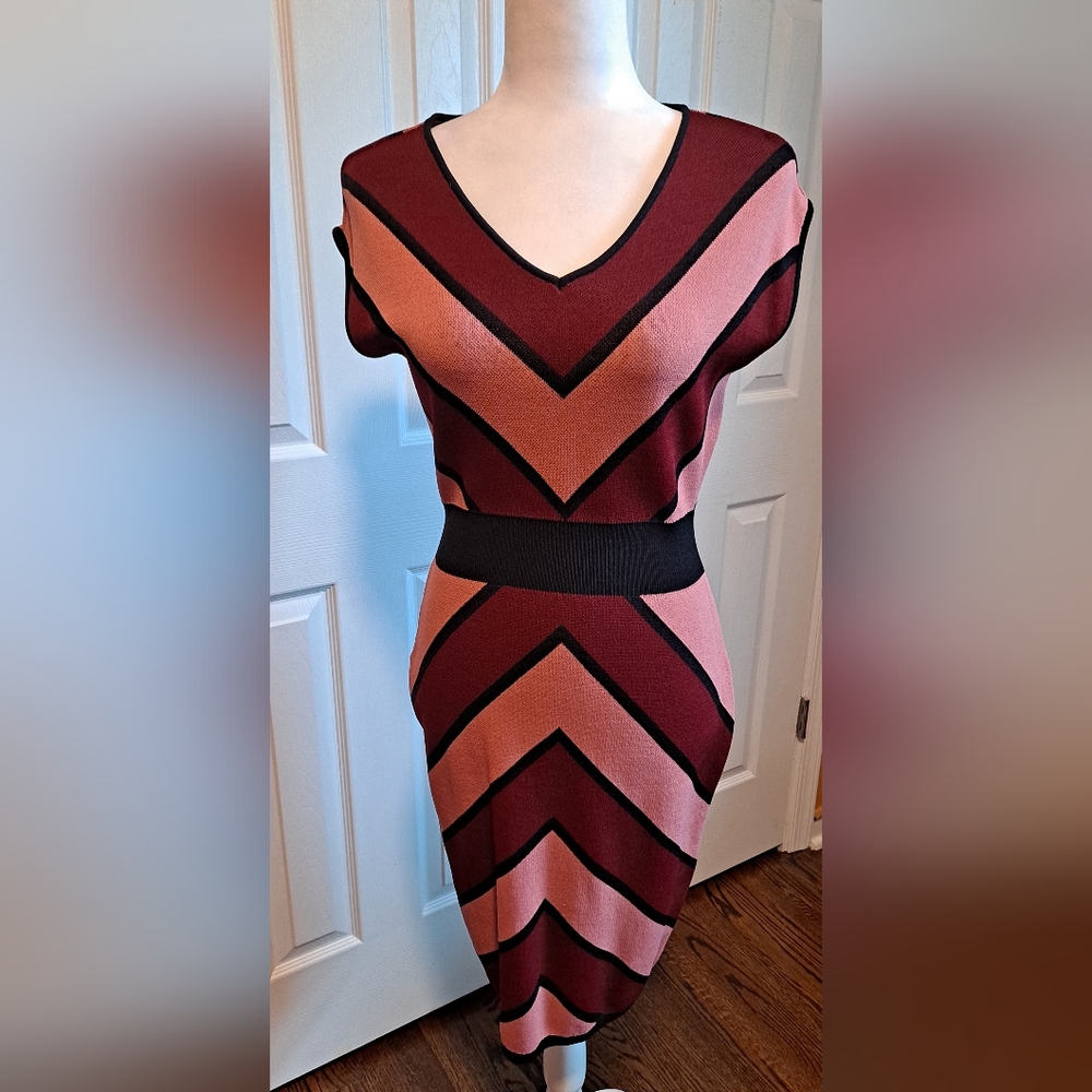 NY & Company red and pink color block dress
